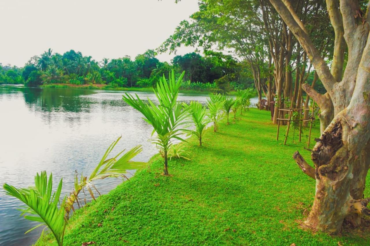 אודוואלאווה Canal Side Safari Resort מראה חיצוני תמונה
