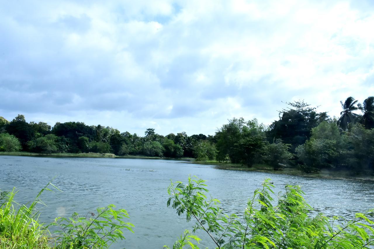 אודוואלאווה Canal Side Safari Resort מראה חיצוני תמונה